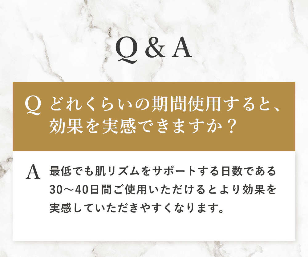 Q&Aの内容