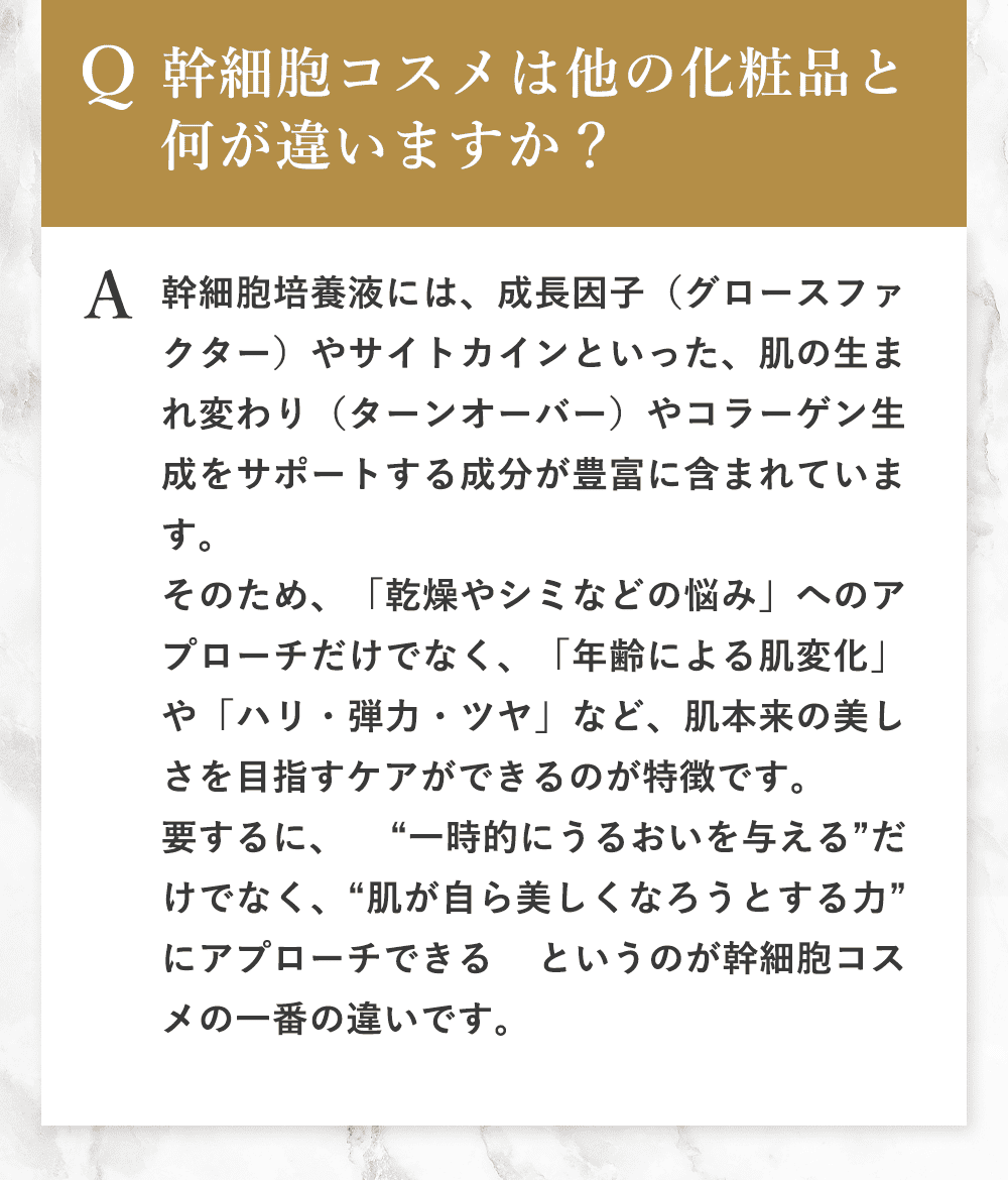 Q&Aの内容