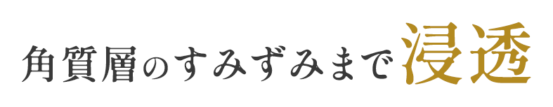 成分が肌の隅々まで浸透している文面