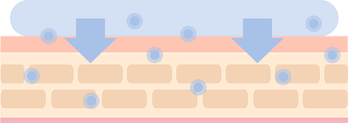 成分が肌に浸透している図解