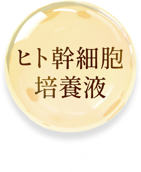 ヒト幹細胞培養液の文字
