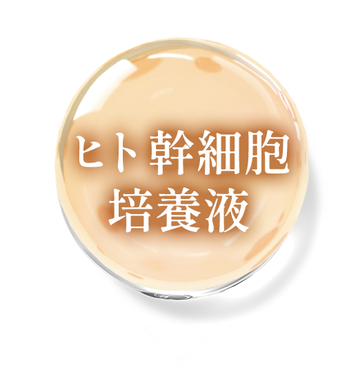 ヒト幹細胞培養液
